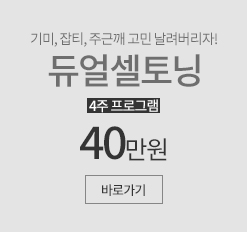 듀얼셀토닝